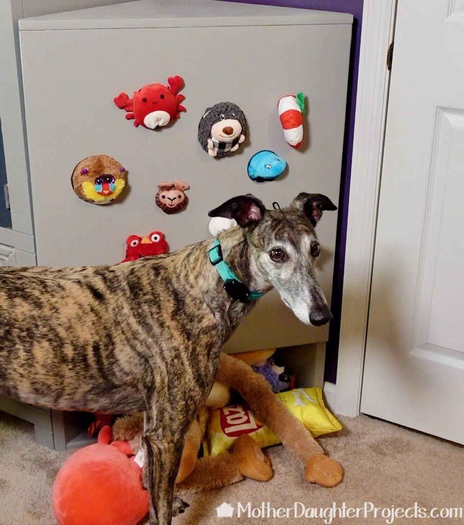 Interactive Toy Storage for Your Pup!