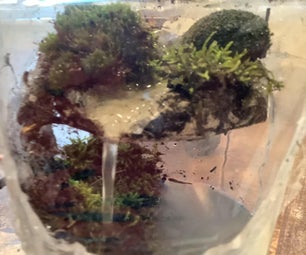 How to Make a Terrarium With a Running Waterfall
