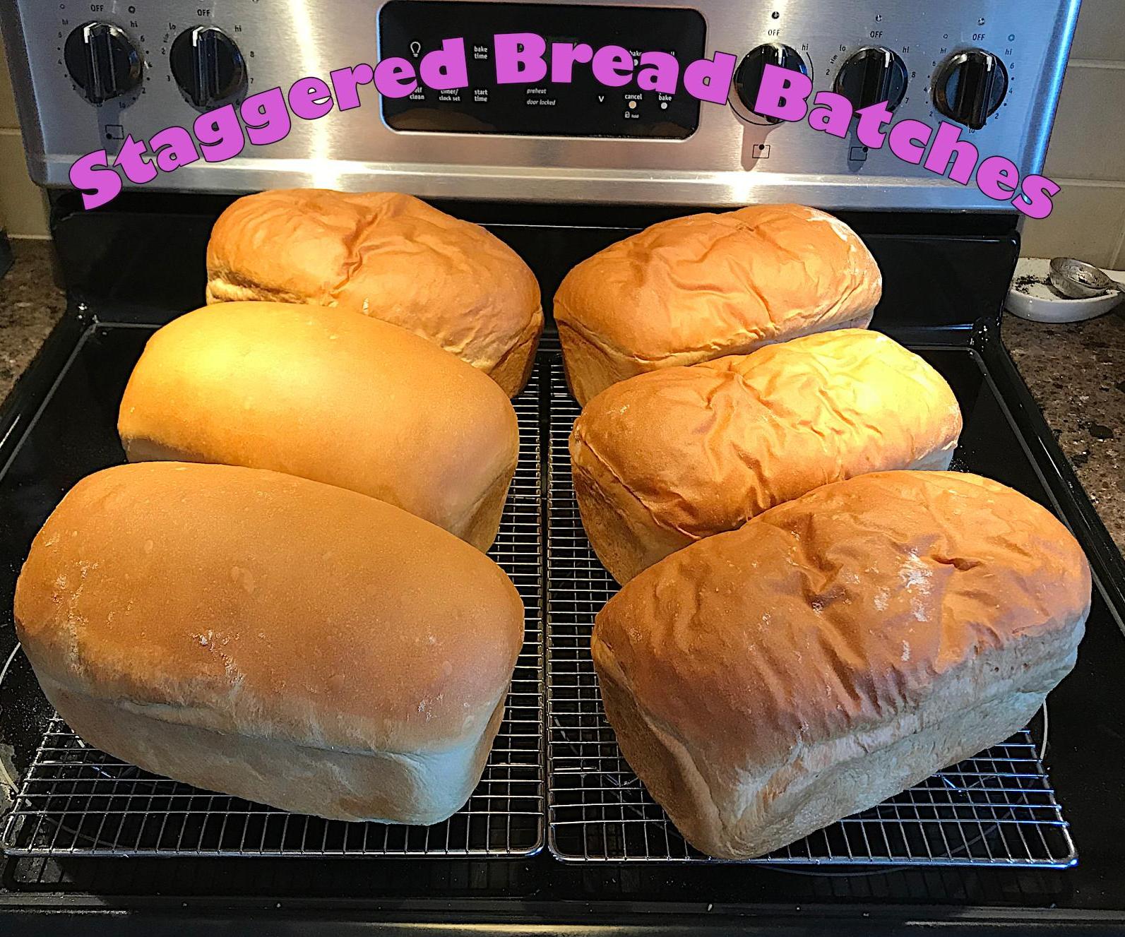Save Time & Money With Staggered Bread Batches