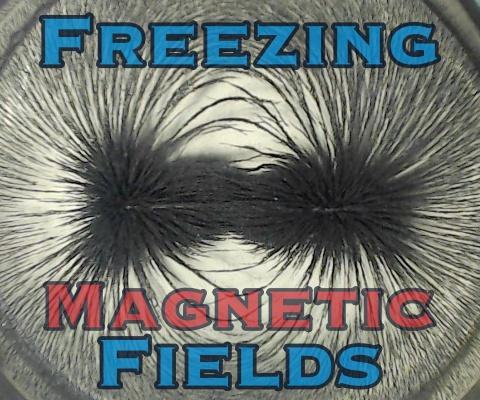 Freezing Magnetic Fields