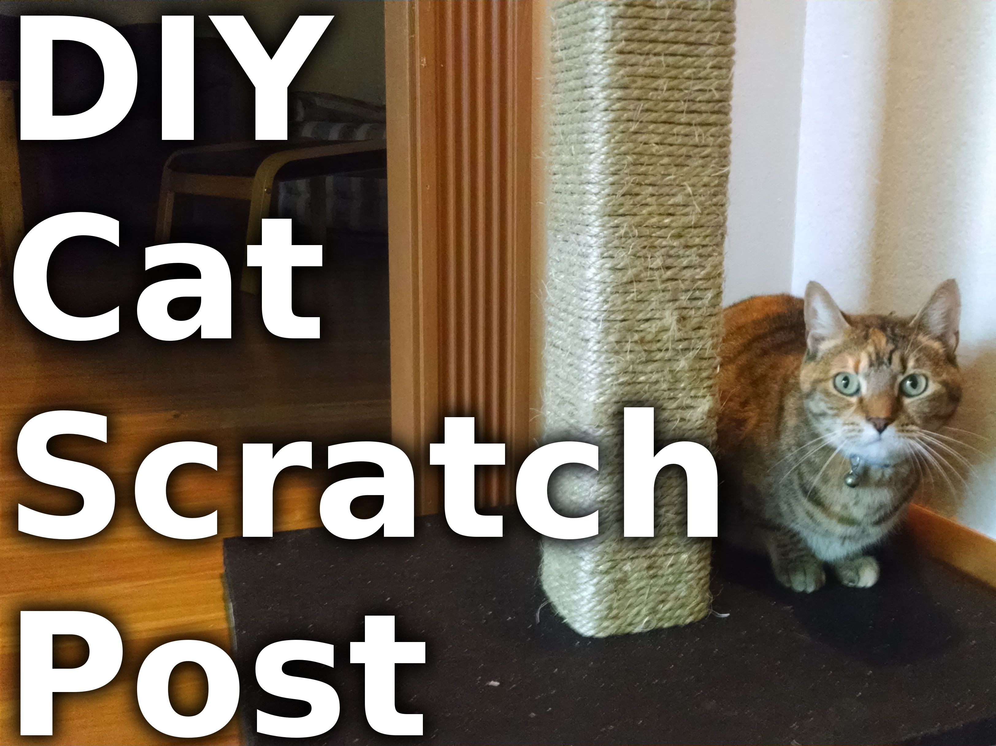 Make a Cat Scratching Post