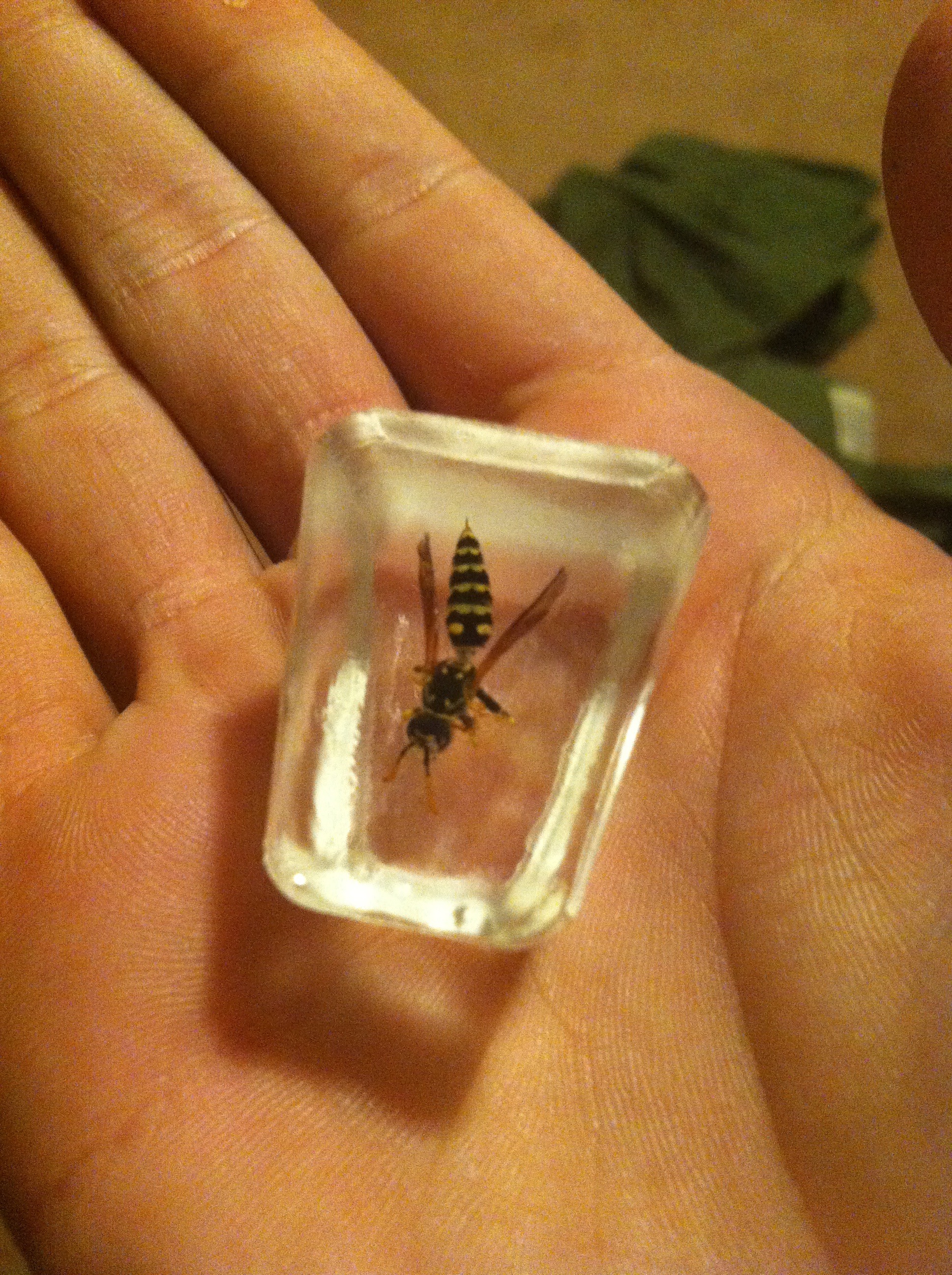 Preserve Insects In Resin