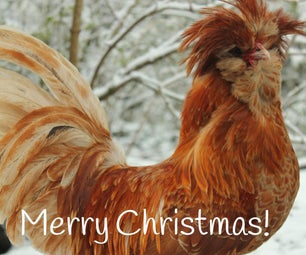 The Twelve Chickens (Days) of Christmas - Making  a Musical #Short Gift Card