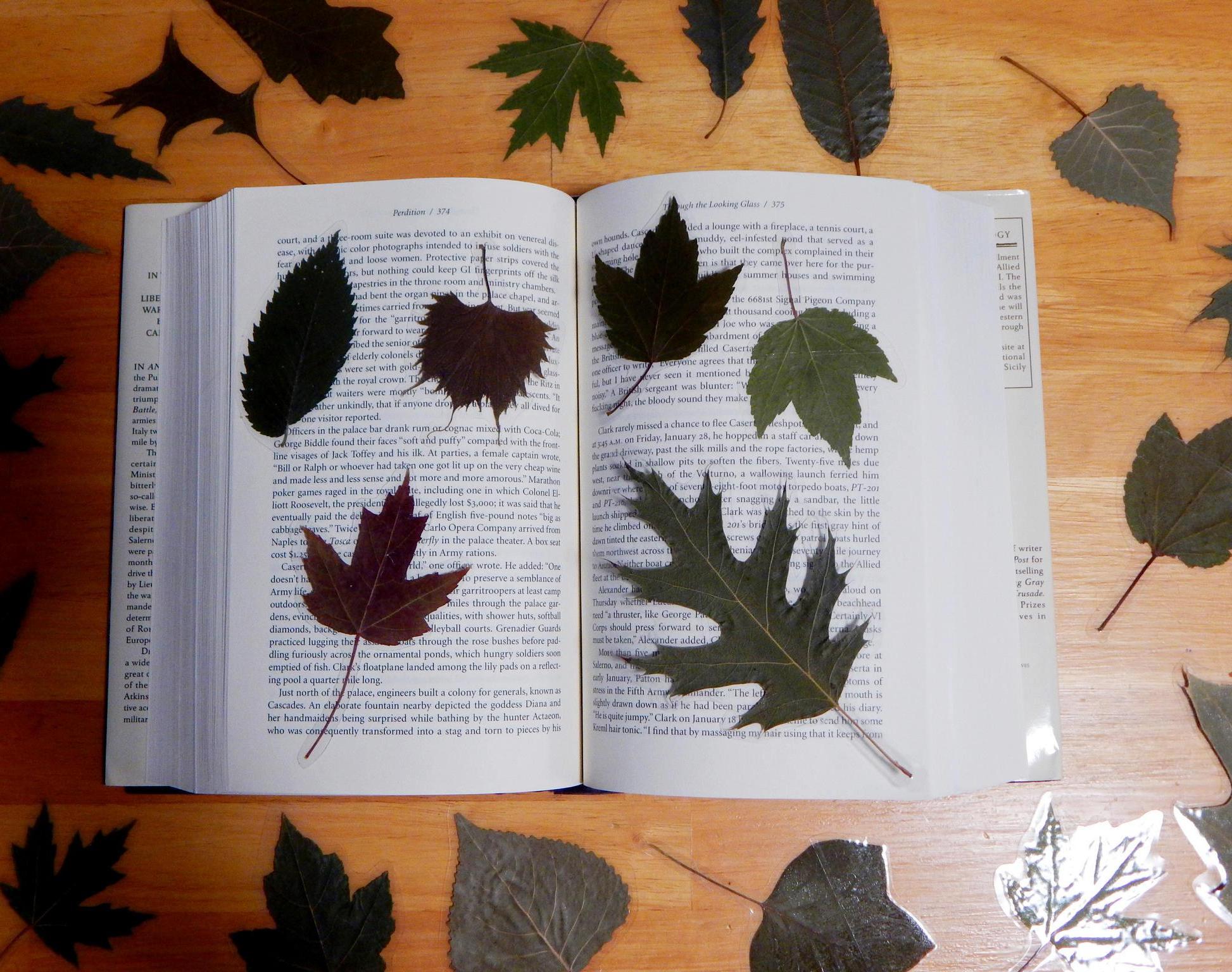 DIY Laminated Leaf Bookmarks