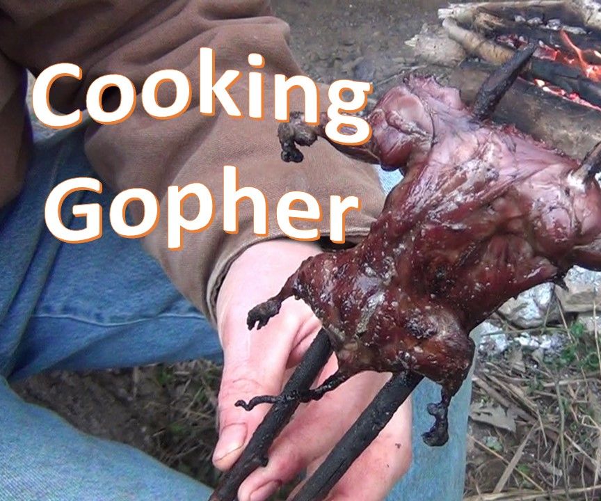 How to Skin and Cook Gopher