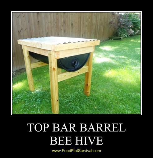 55 Gallon Top Bar Barrel Bee Hive