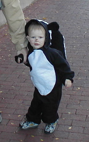 How to make a child skunk costume