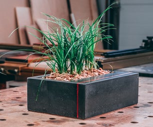 DIY Table Top Concrete Planter With Wood Inlay