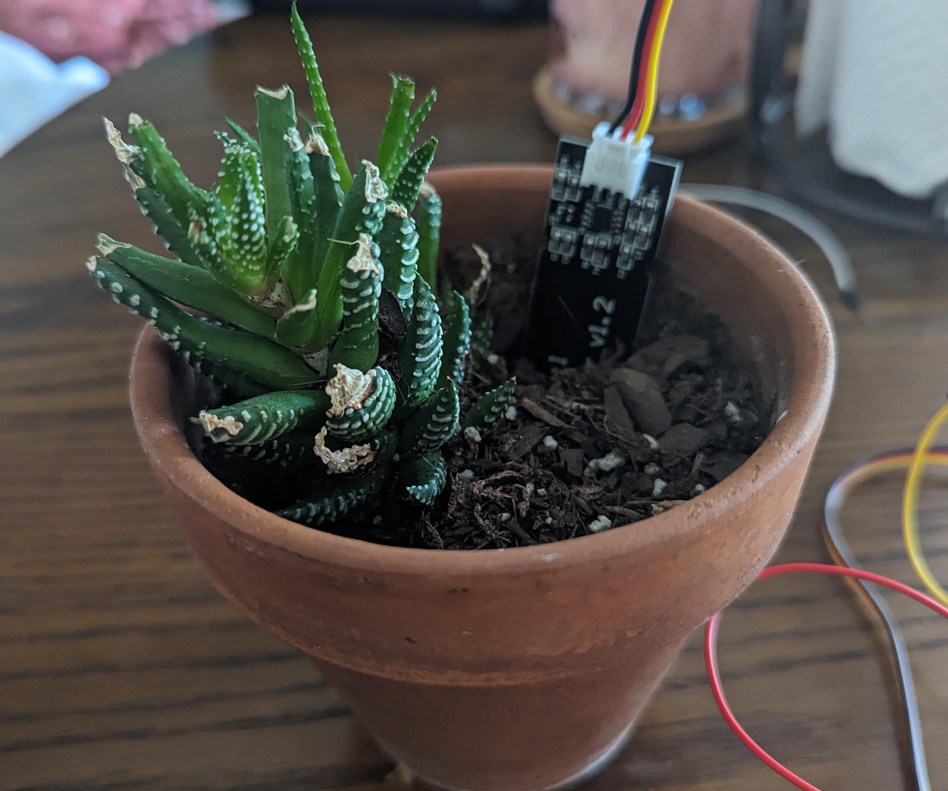 Display Plant Moisture Using a ESP32 and a LCD