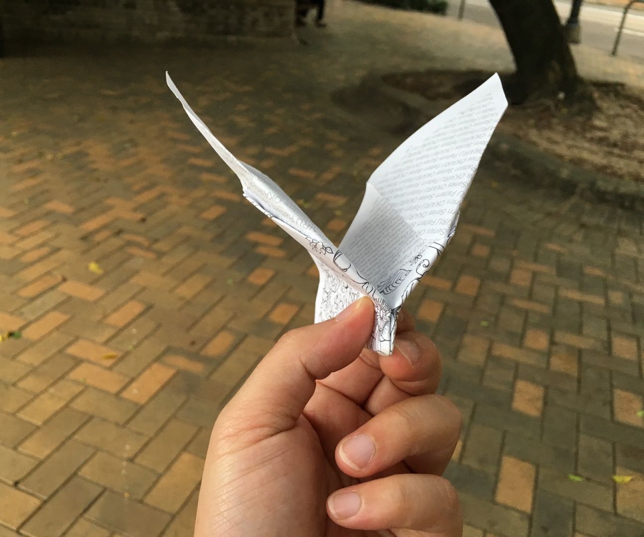 Flapping Paper Plane
