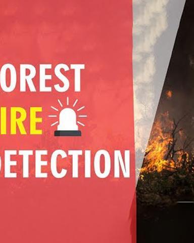 Implementing Forest Fire Object Detection Model With BrainyPi Using EdgeAI
