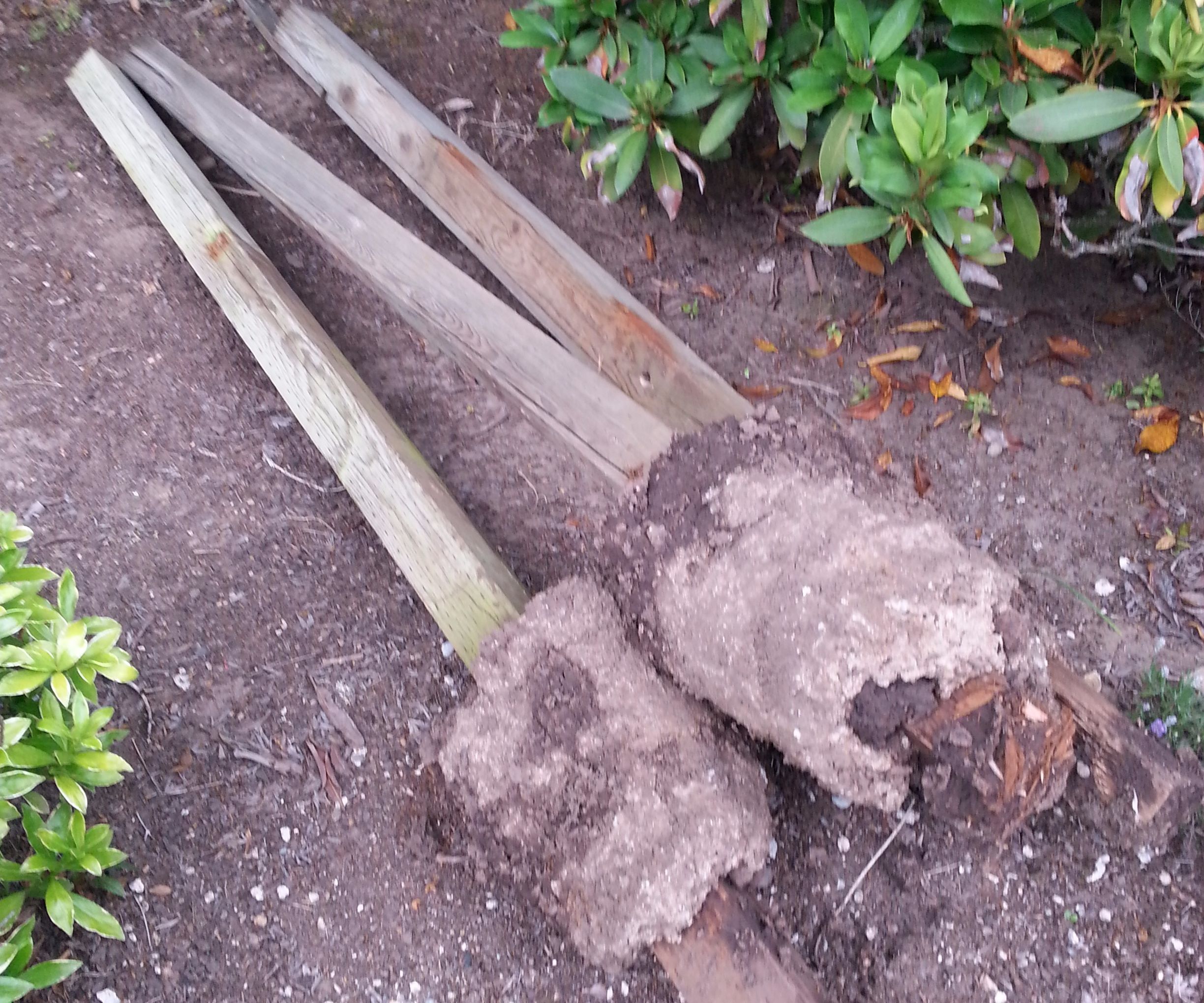 Pull Wooden Fence Posts Set In Concrete WITH NO DIGGING!
