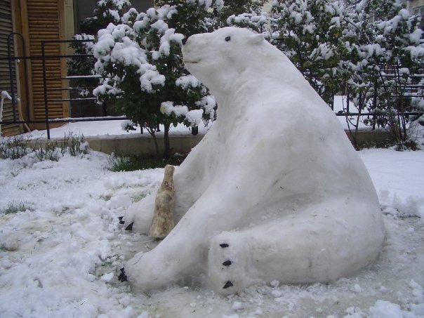 Polar Cola Bear!