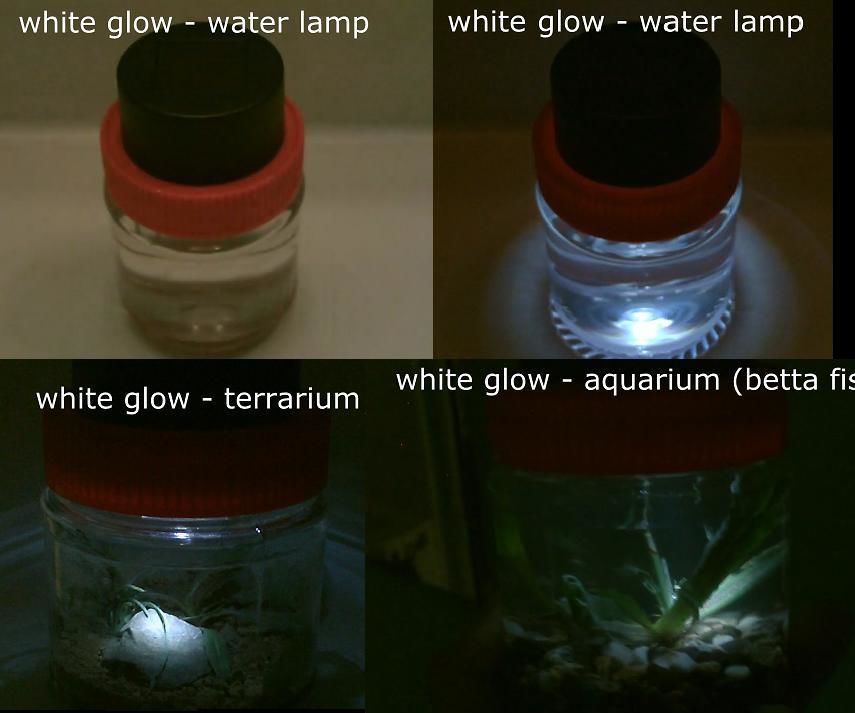 Glow-Water Lamps! W/aquarium/terrarium Conv. - Solar Powered!