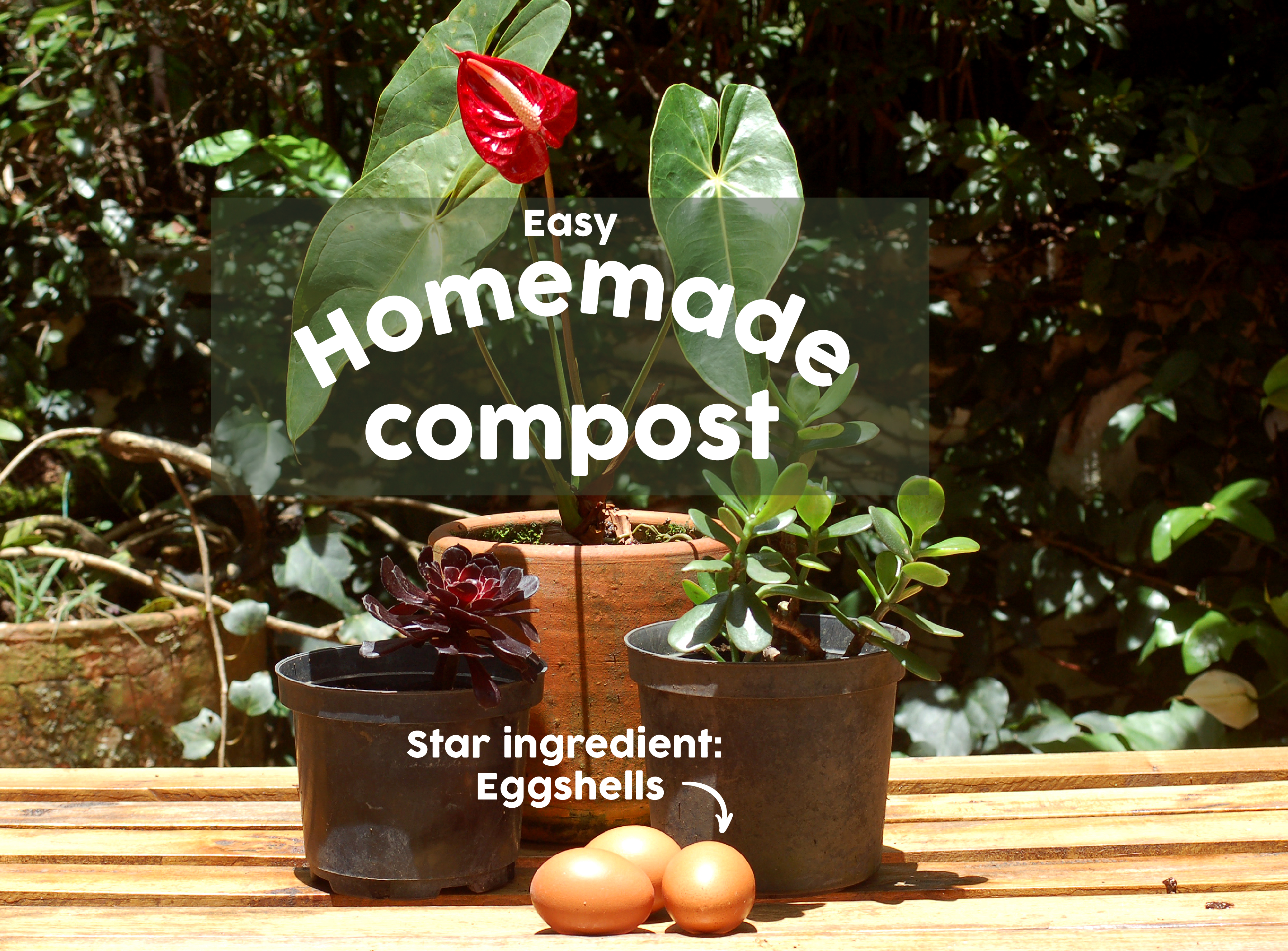 Easy Homemade Compost