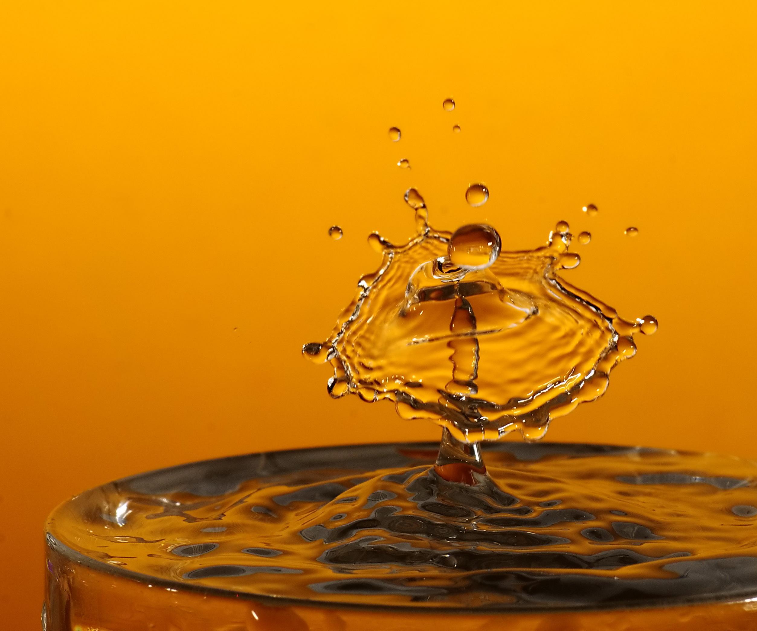 Splash! Water Droplet Photography
