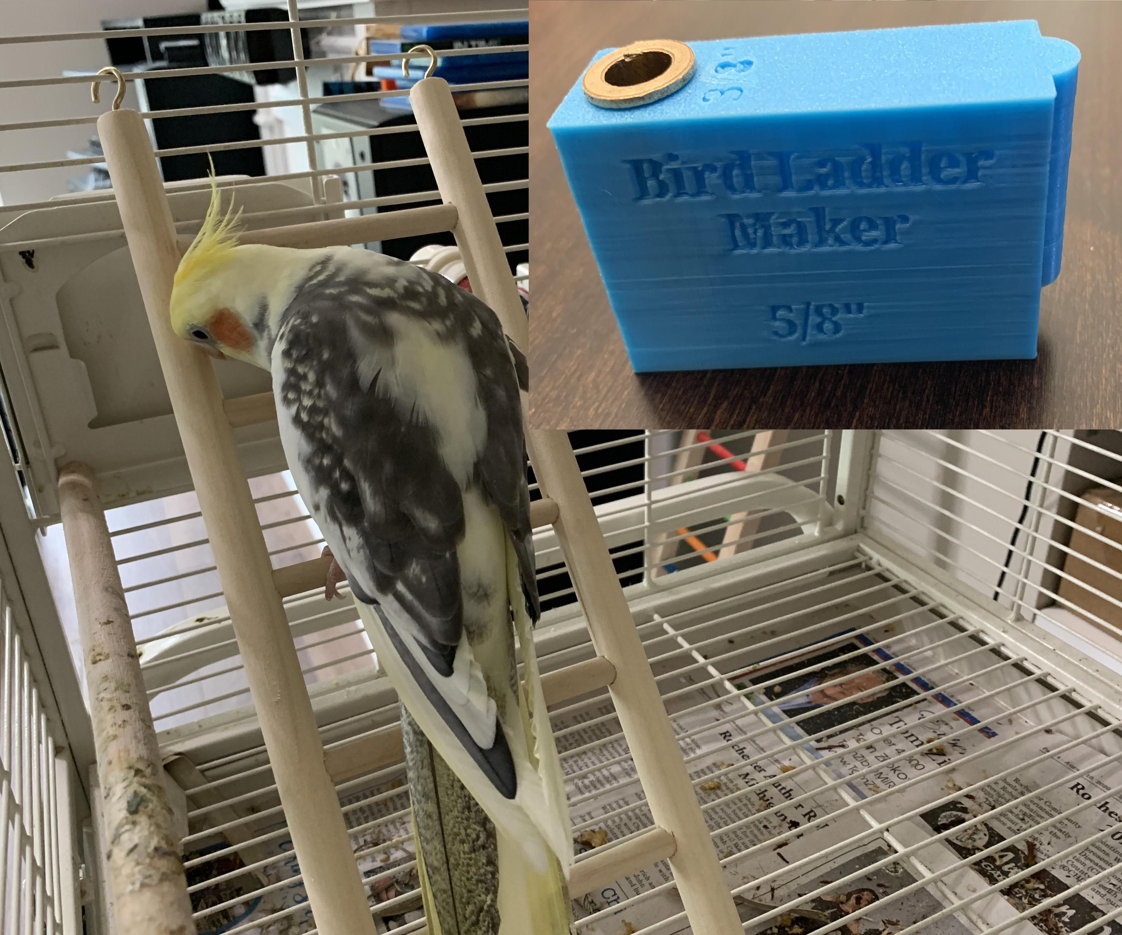 Bird Ladder Maker