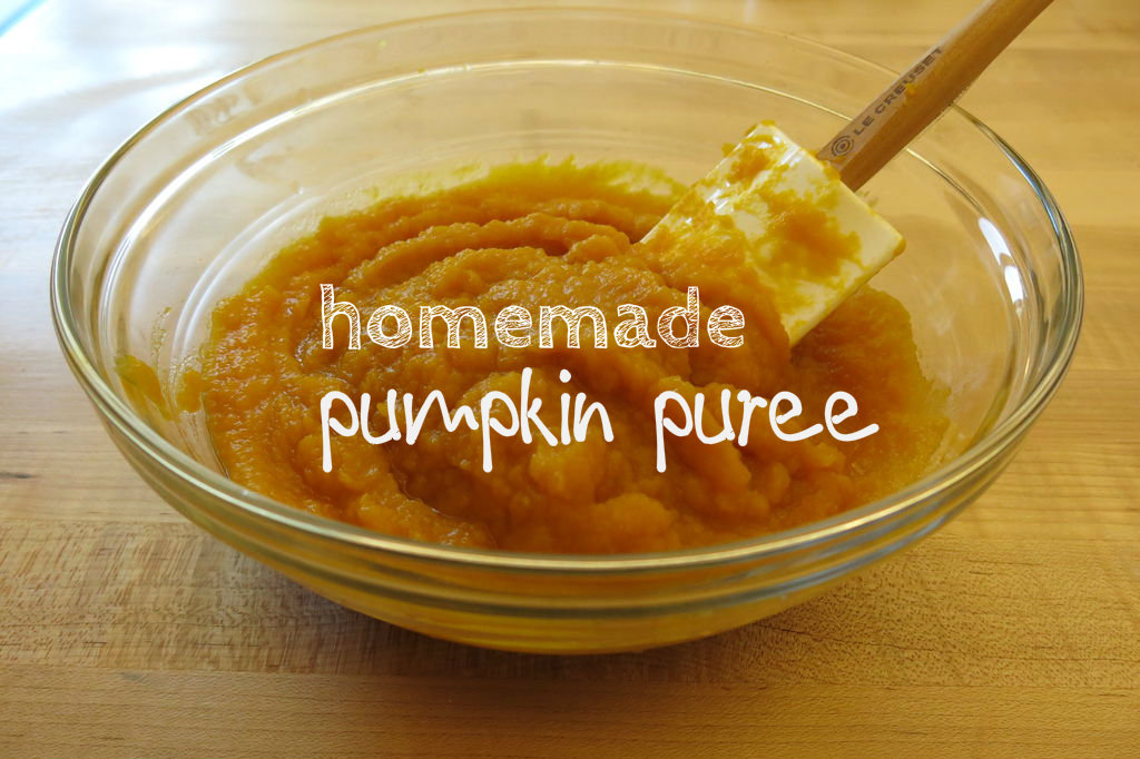 Easy Handmade Pumpkin Puree