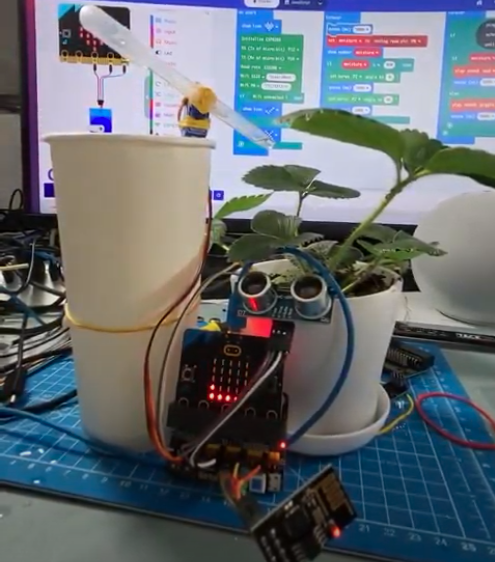 Accessible IoT Plant
