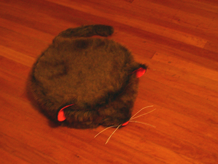 Roomba costume