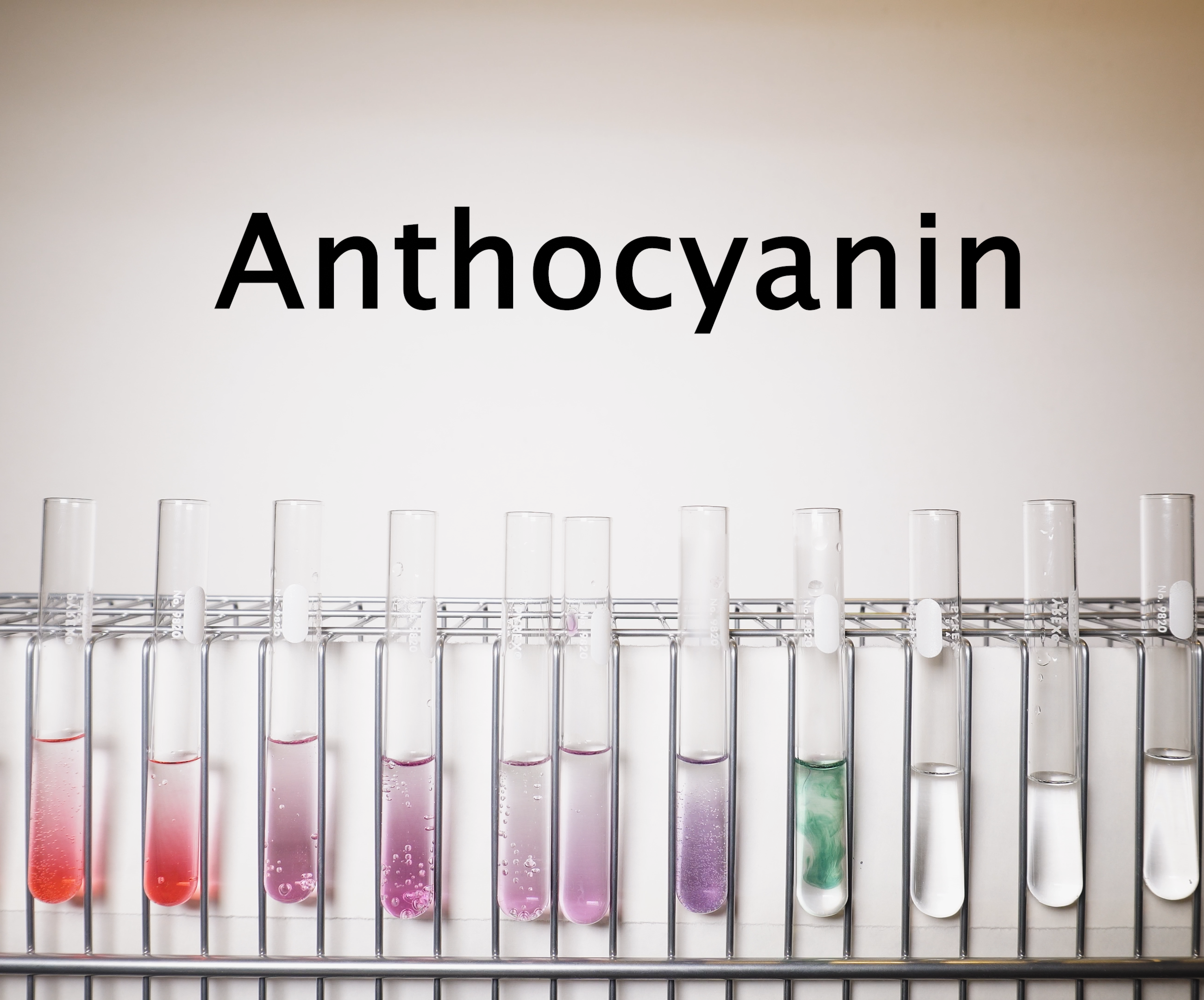 Extracting Anthocyanin: a Natural PH Indicator