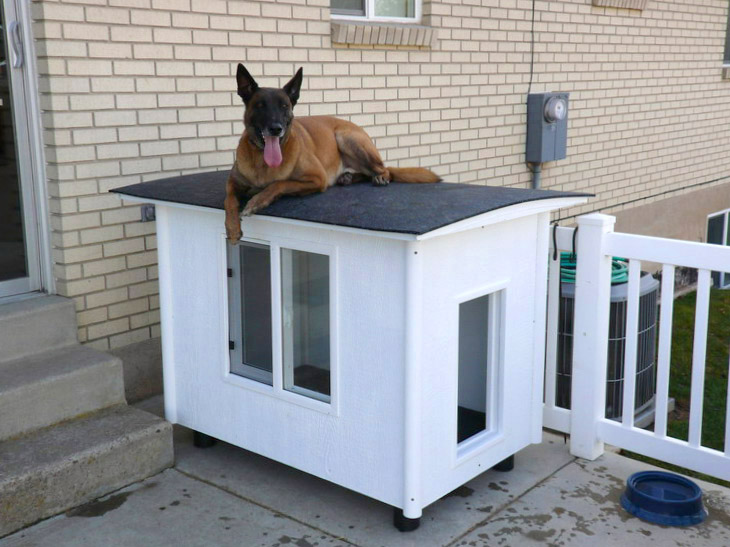 The Dog Mansion - or - Knock-Down Dog House