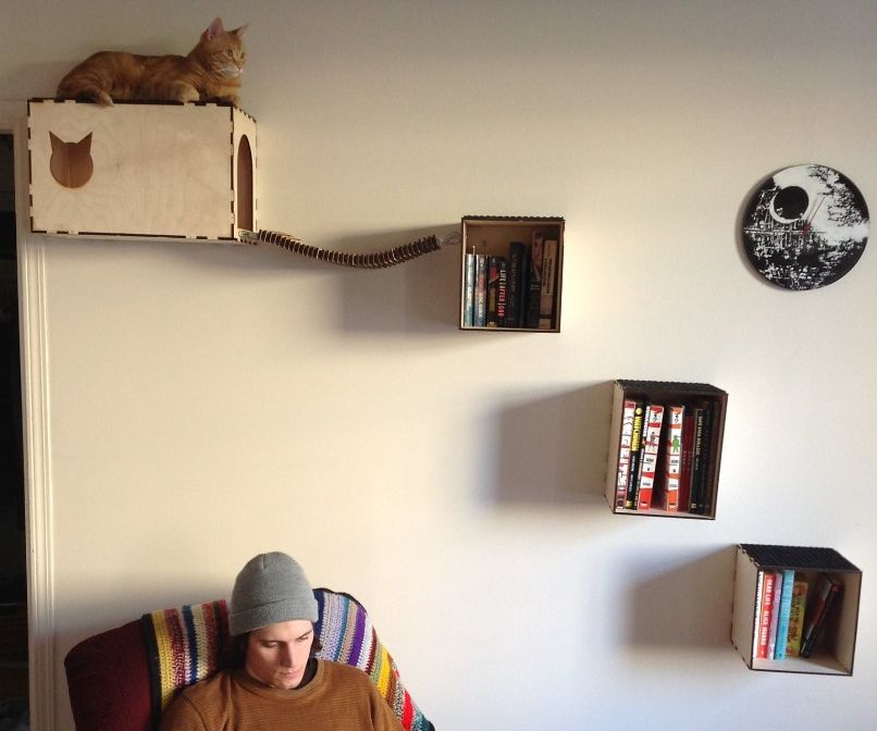 Cat Shelves and Hideaway
