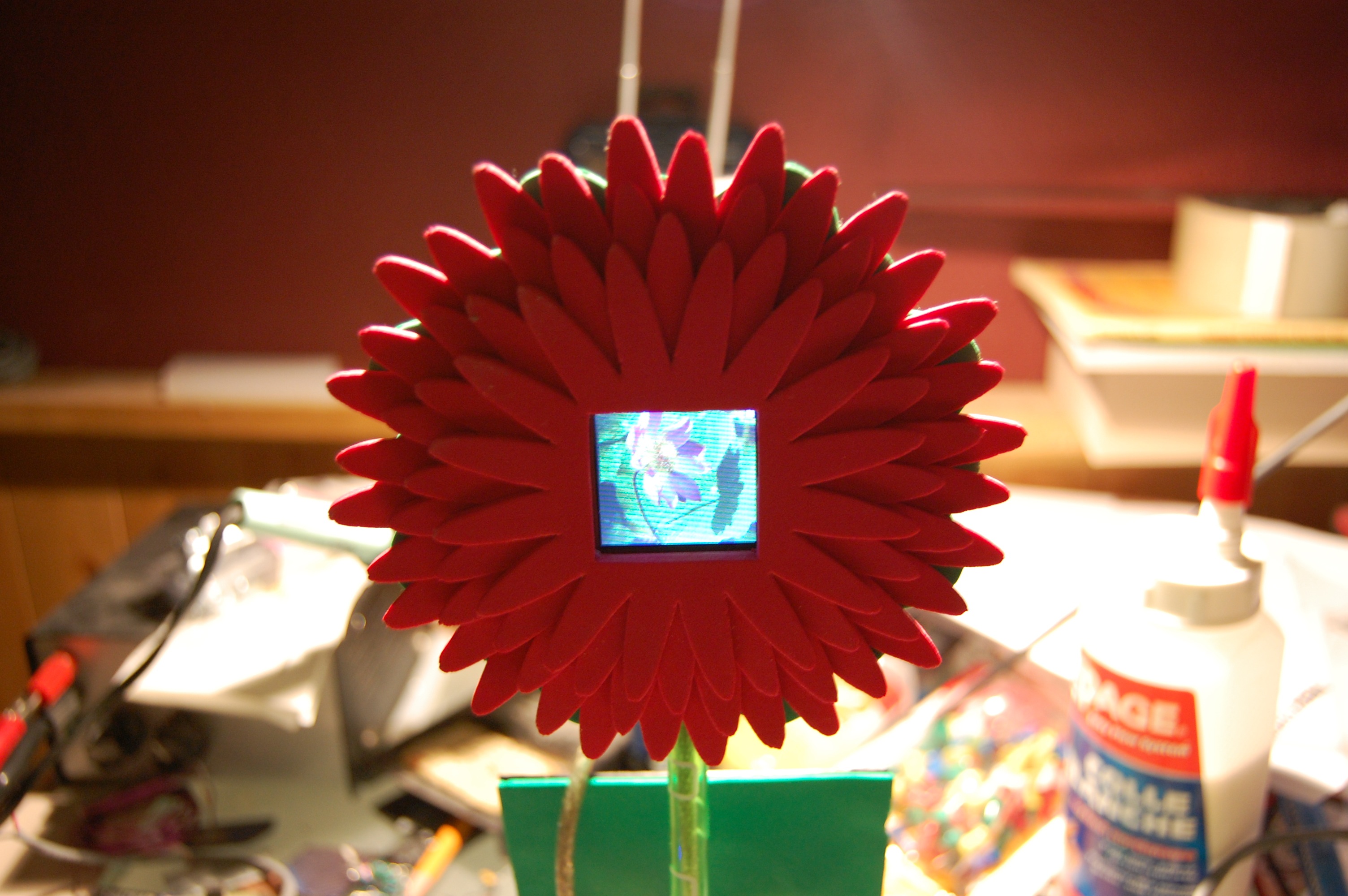 Solar Powered Digital Picture Frame