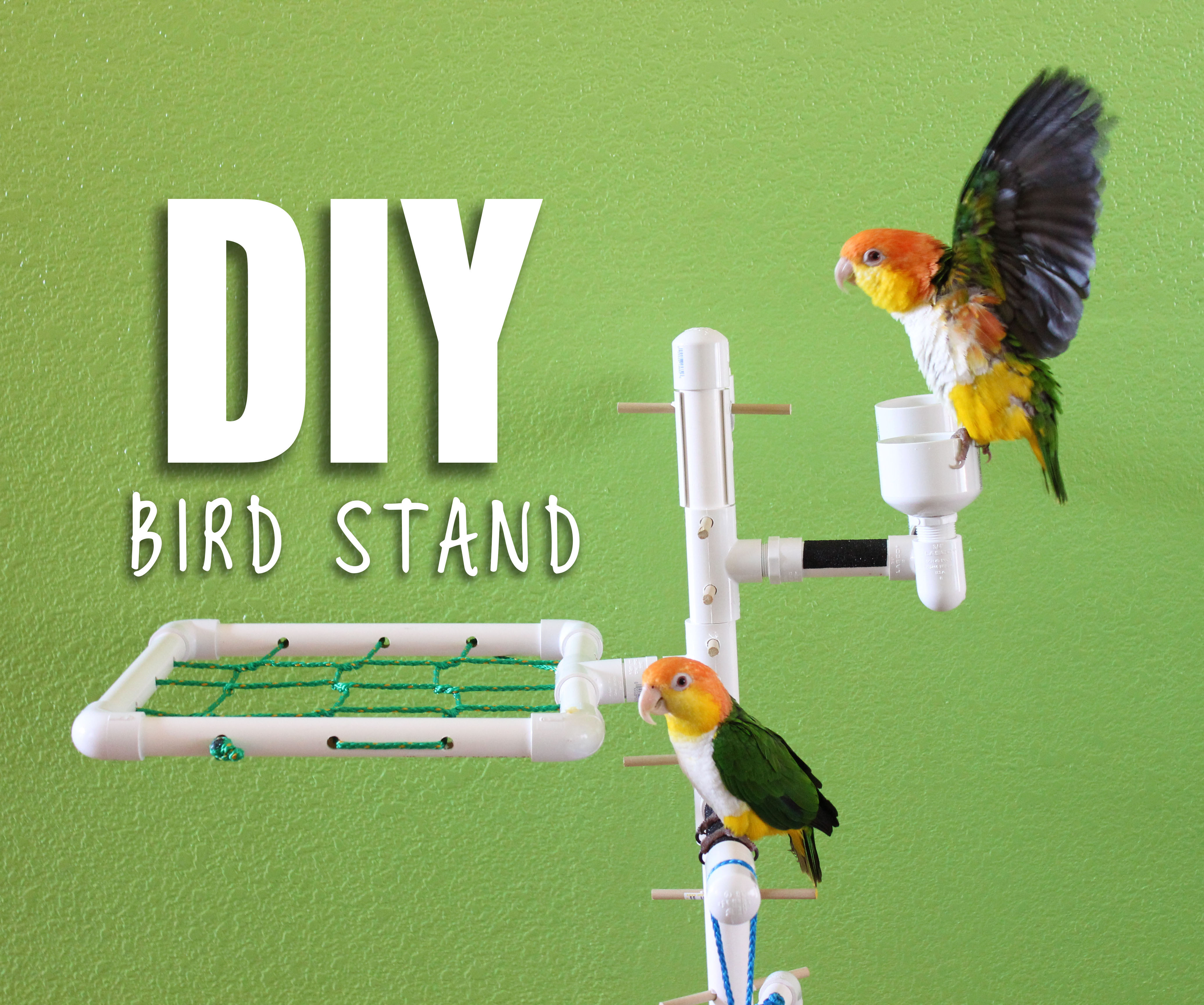 DIY BIRD STAND