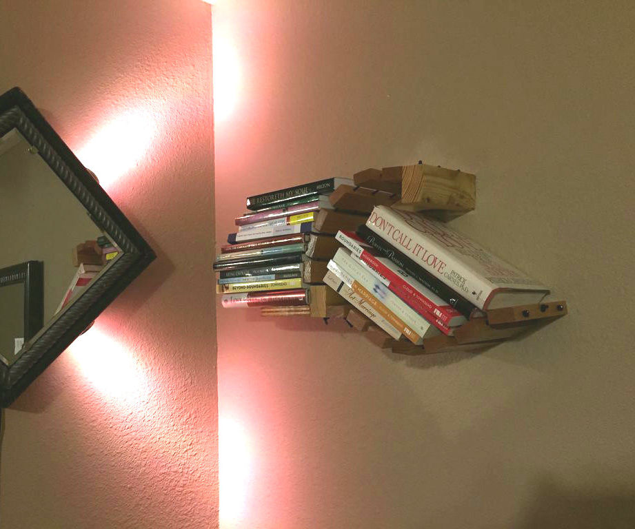 Bungee cord Book Shelf