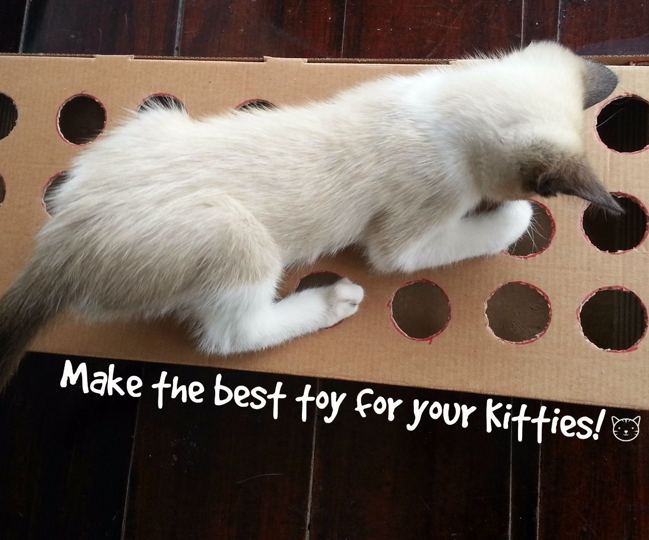 Make a toy for your cat using cardboard