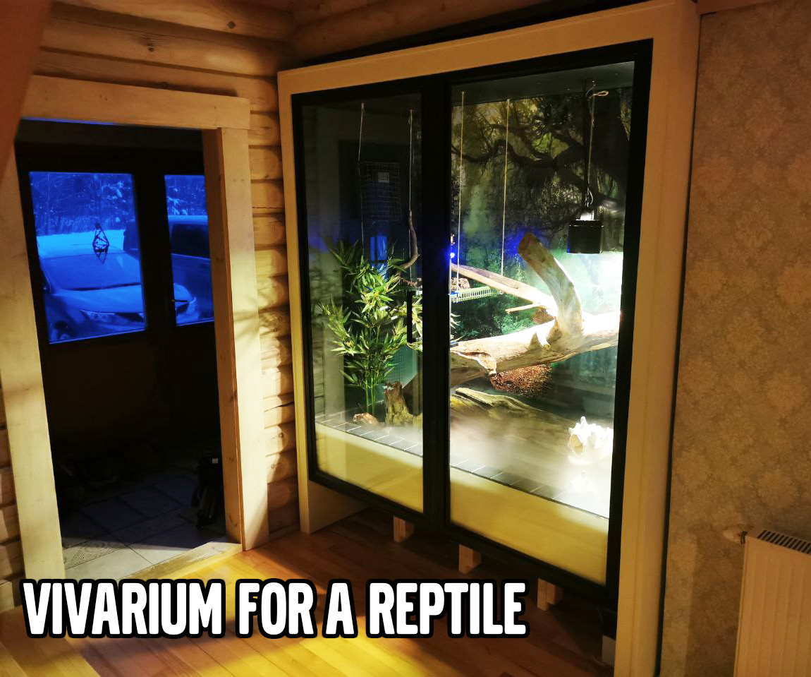 Vivarium for a Reptile