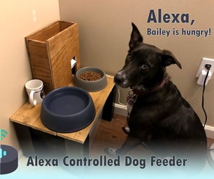 Alexa Controlled Dog Feeder