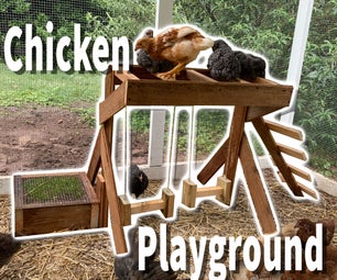 Chicken Playground