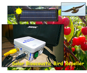 Solar Bioacoustic Bird Repeller