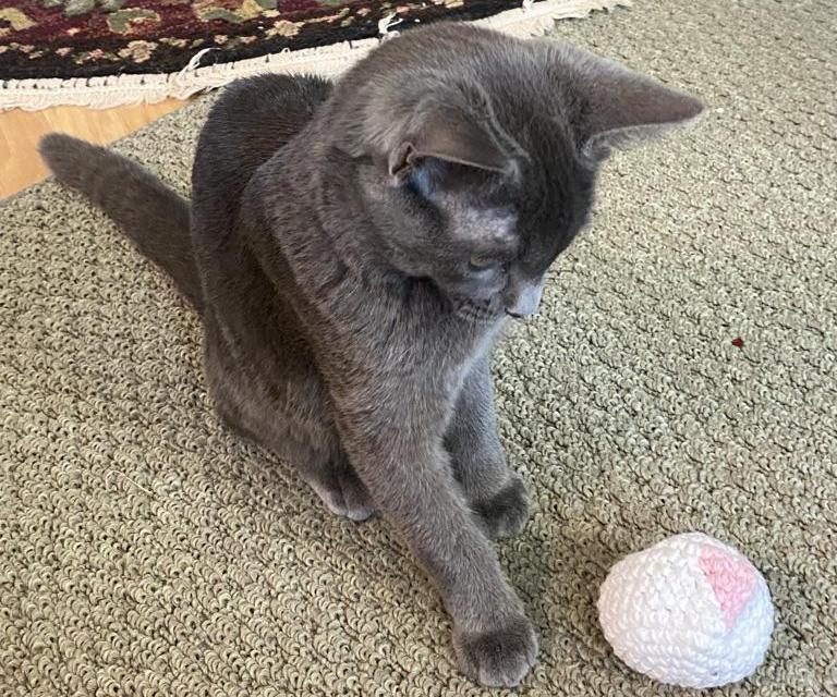 Crochet Cat Hacky