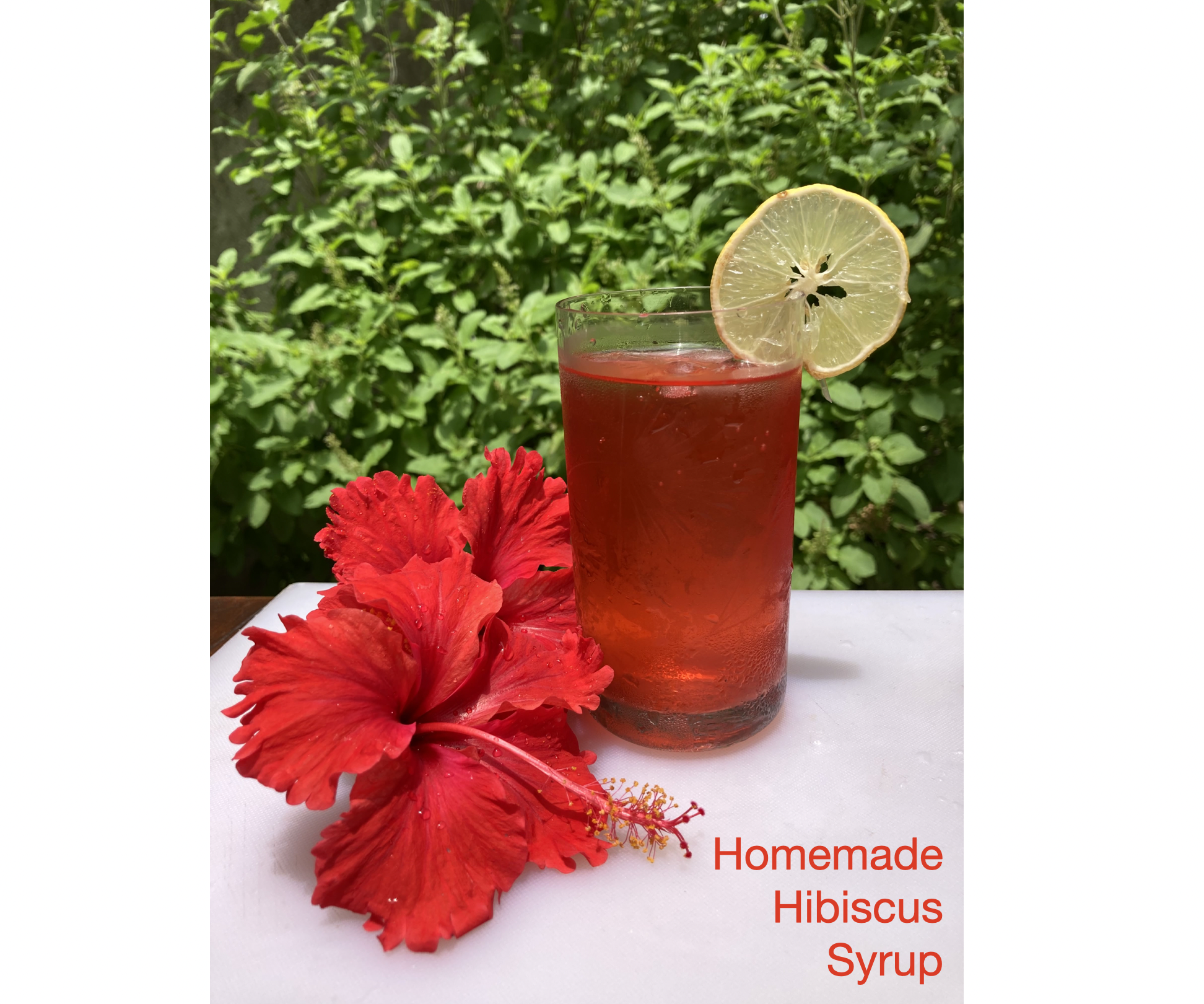Homemade Hibiscus Syrup (from Homegrown Hibiscus Tree)