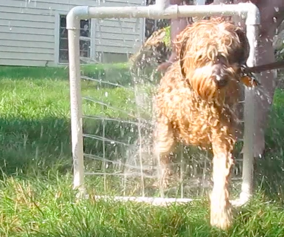 Cheap and Easy Pvc Handheld Dog Washer