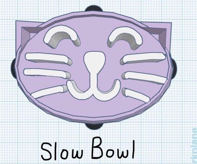 Slow Eating Food Bowl for Pets (SILLY SOLUTIONS)