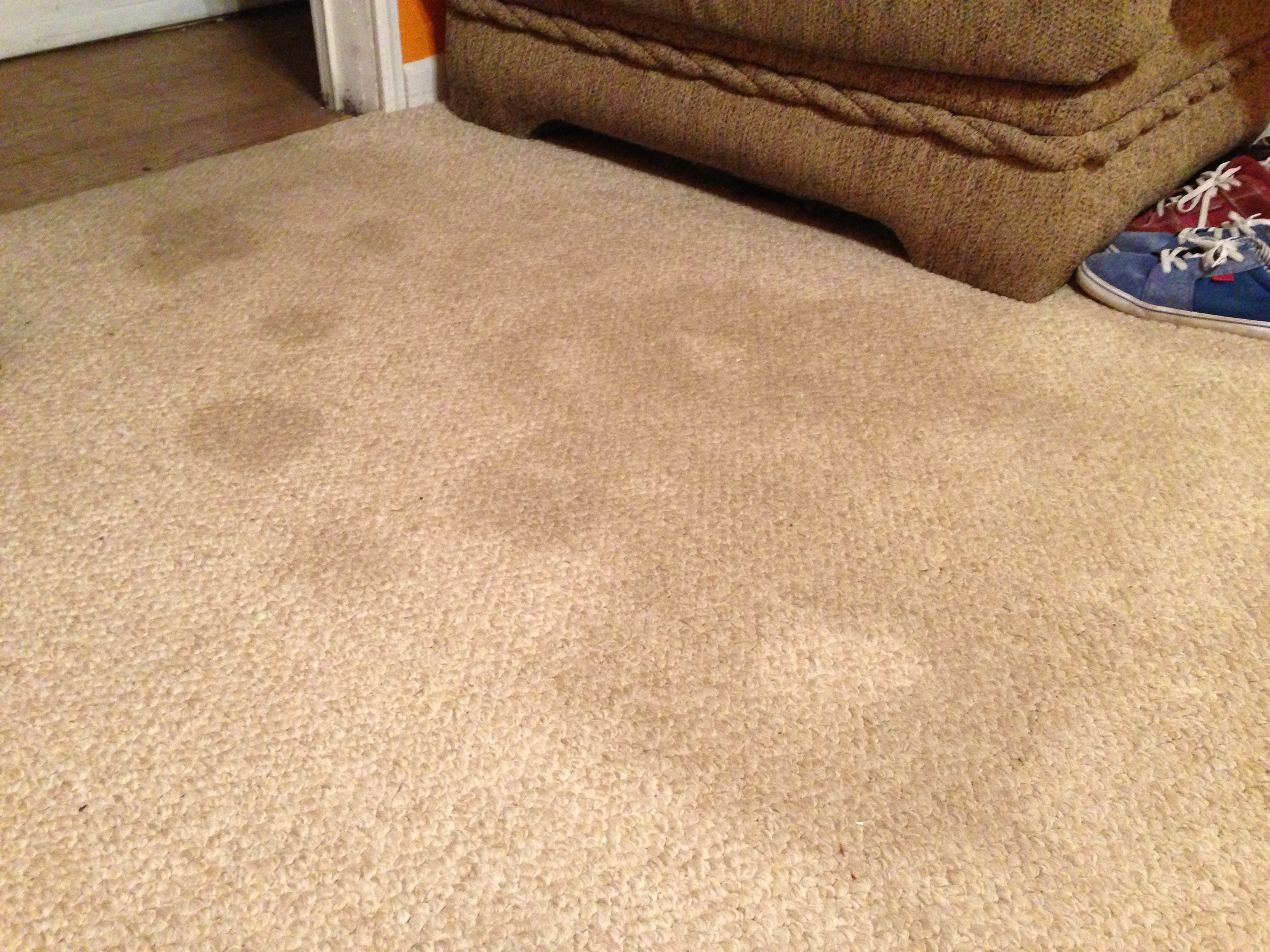 Year Old Carpet Stains GONE