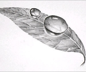 Easy 3D Art Pencil Drawing: How to Draw 3D Dew Drop on Leaf