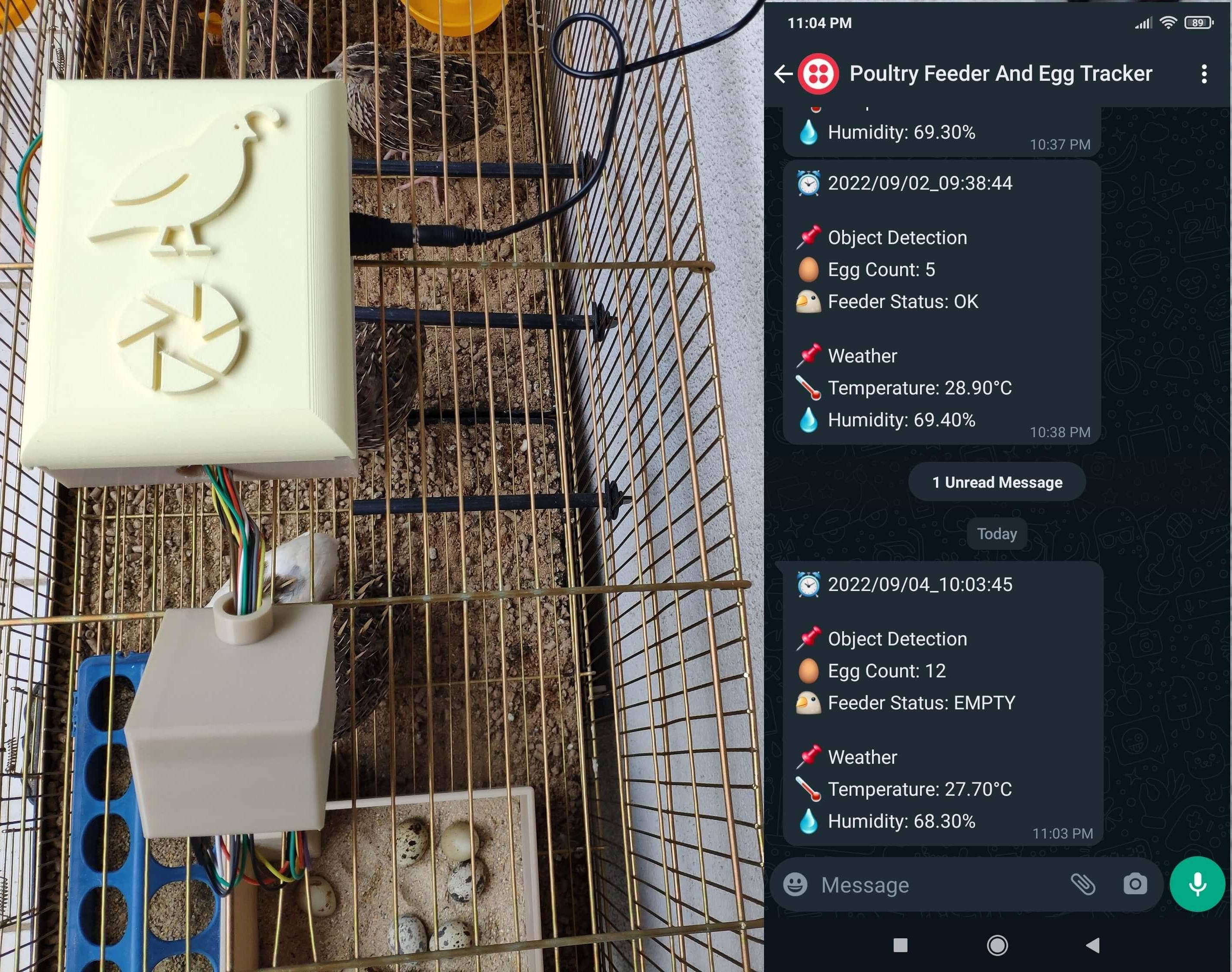IoT AI-driven Poultry Feeder and Unhatched Egg Tracker W/ WhatsApp