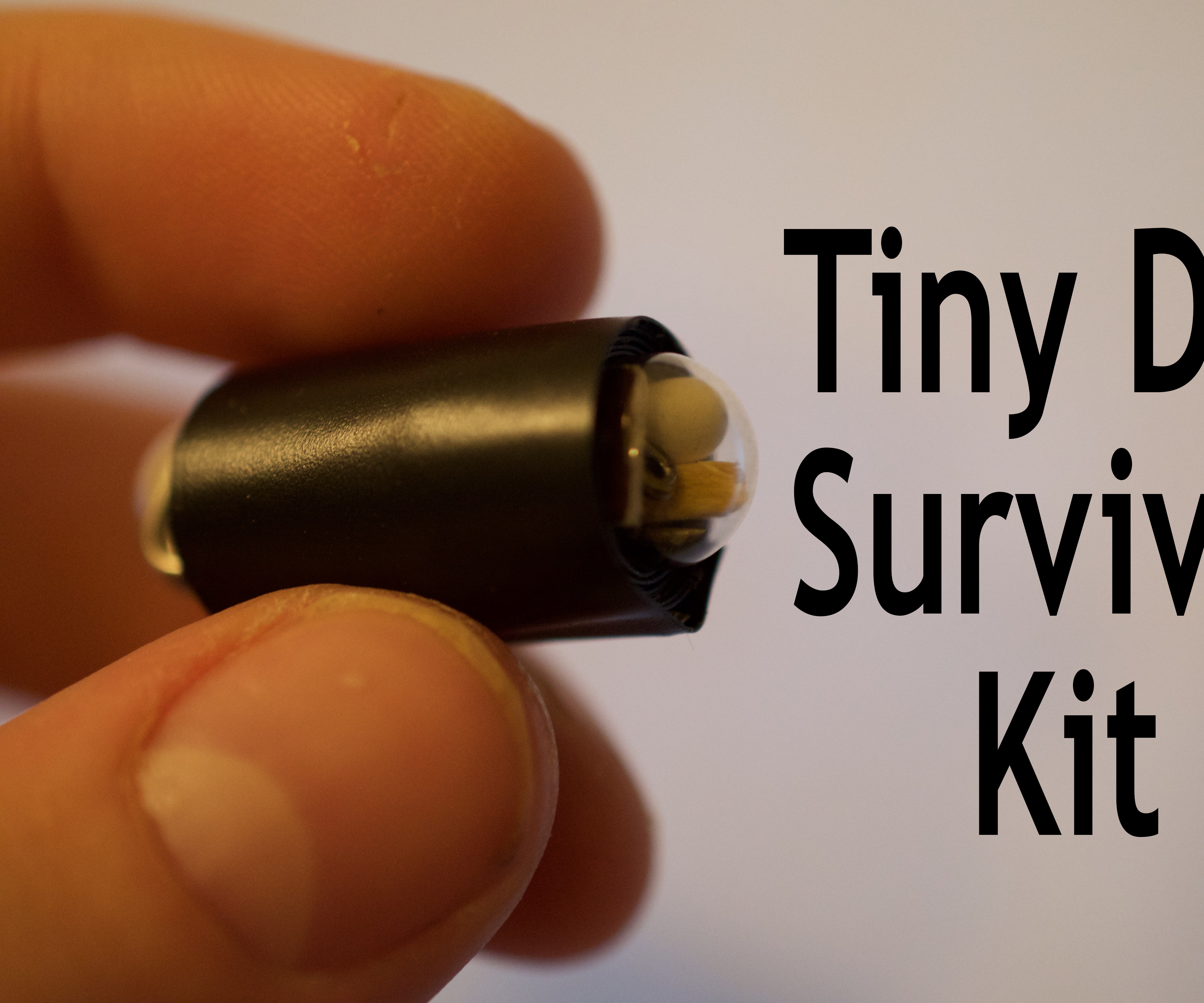 Worlds Smallest DIY Survival Kit