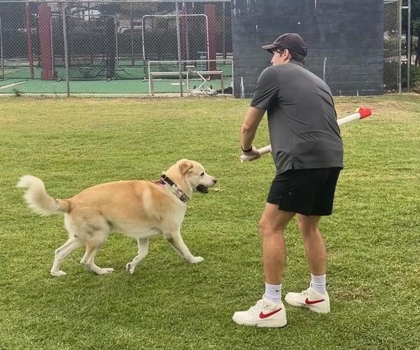 Far-Reaching Tennis Ball Thrower