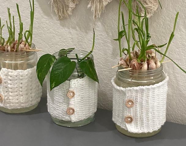 Crochet Plant Vase Covers: Cozy Vibes for Cozy Vines