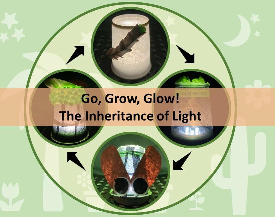 Go, Grow, Glow - the Inheritance of Light