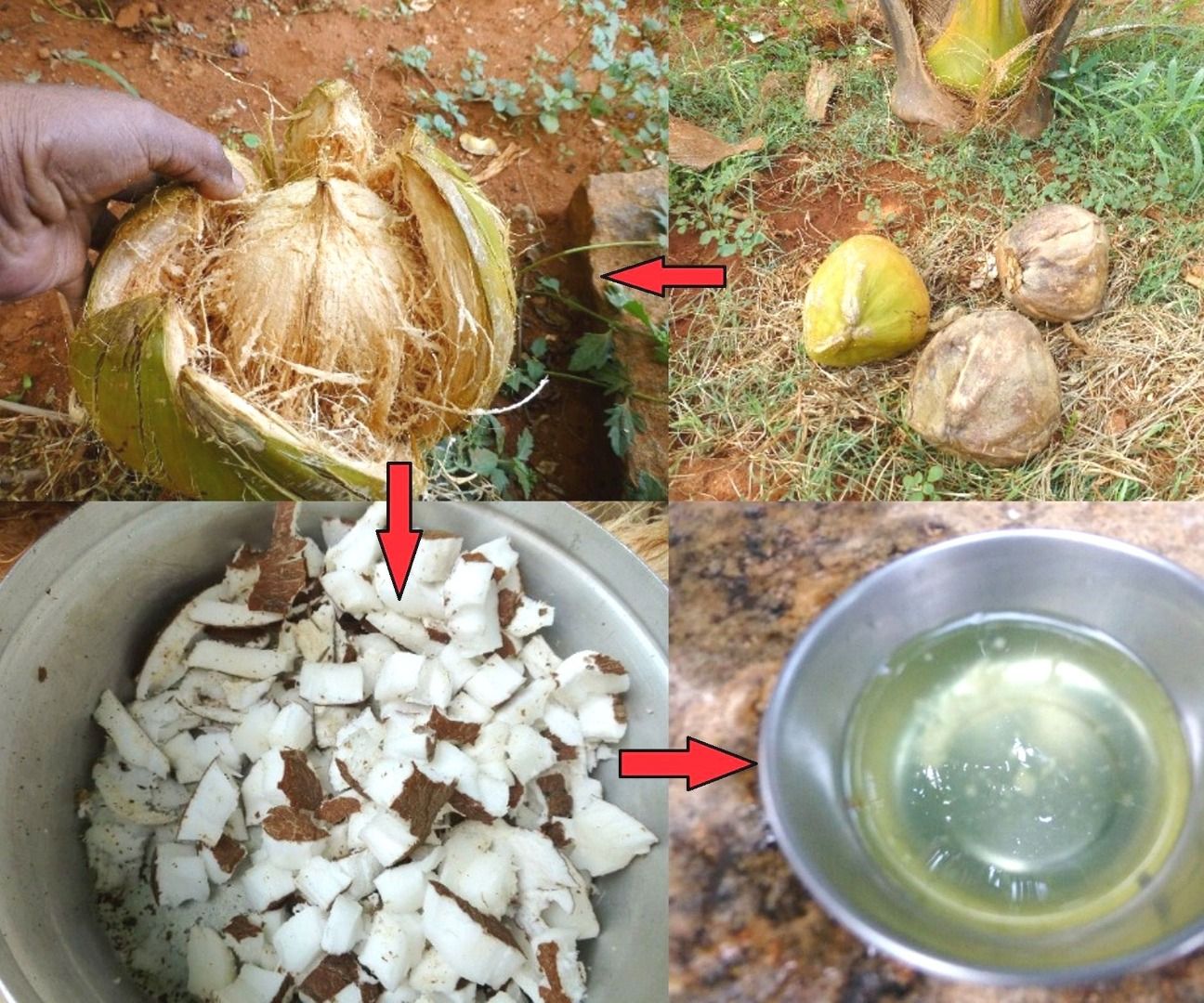 How To Make Coconut Oil From Scratch...