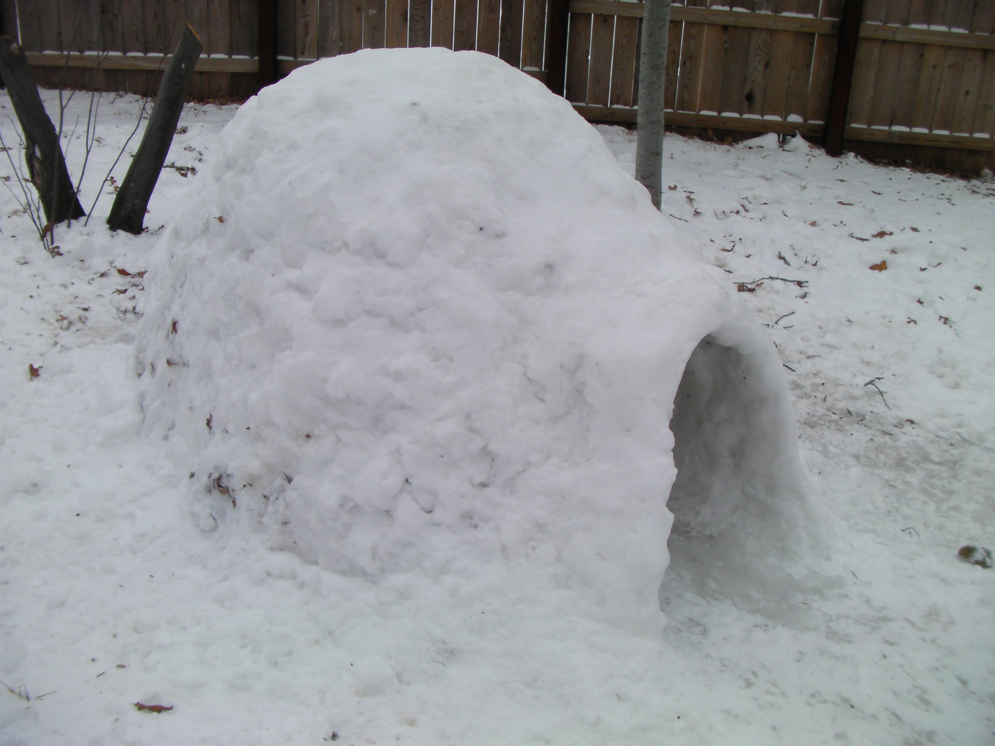 How to make a backyard igloo with powdery snow
