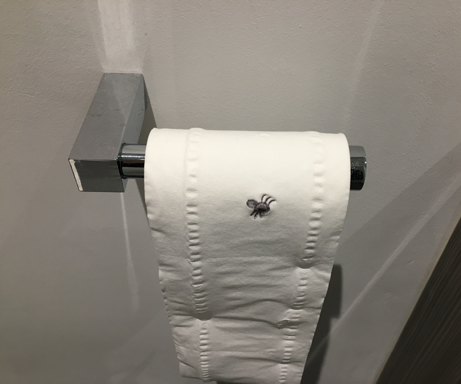Toilet Paper Prank