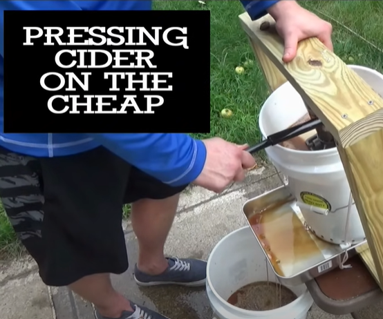 How to Make Apple Cider on a Budget With Everyday Items